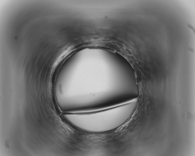 X0000091540150200708171017