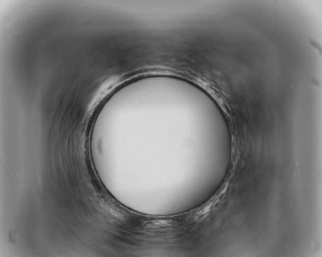 X0000091540151200708171017