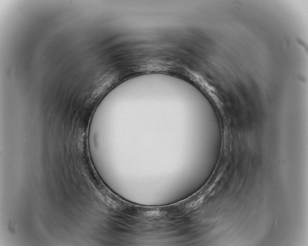 X0000091540153200708171017