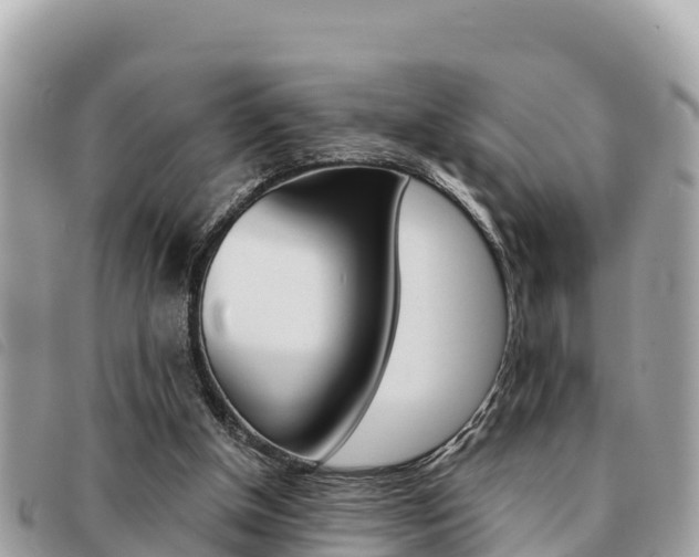 X0000091540154200708171017