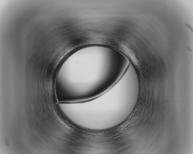 X0000091540156200708171017