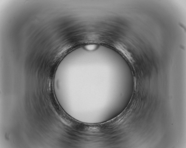 X0000091540157200708171017