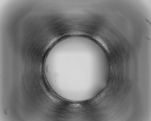 X0000091540159200708171017