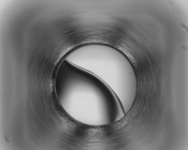 X0000091540160200708171017