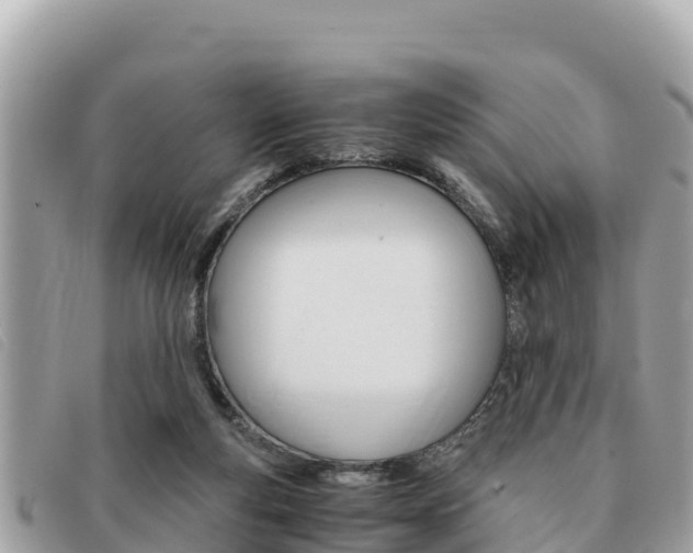 X0000091540163200708171017