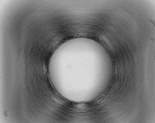 X0000091540173200708171017