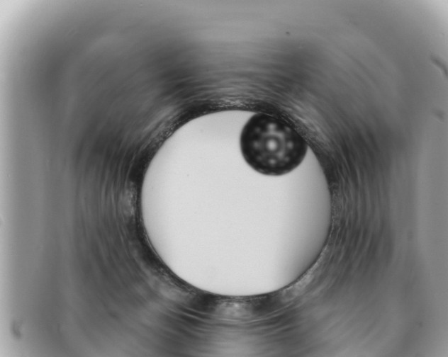 X0000091540174200708171017
