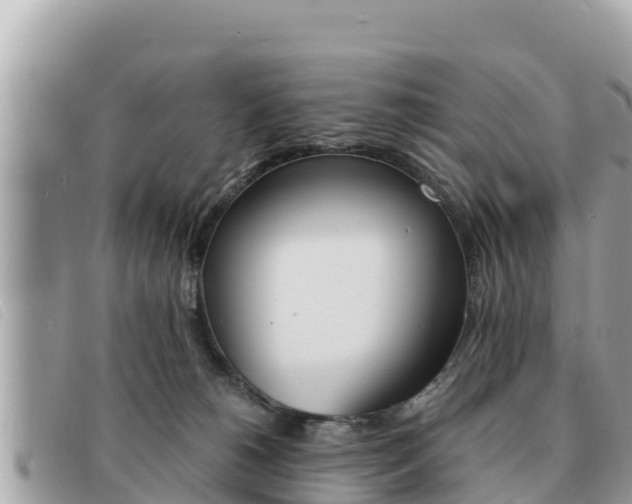 X0000091540180200708171017