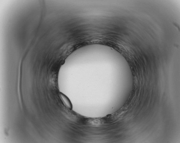 X0000091540181200708171017