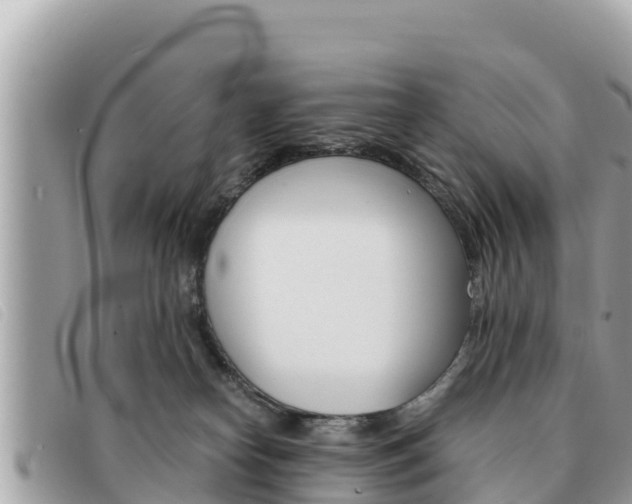 X0000091540182200708171017