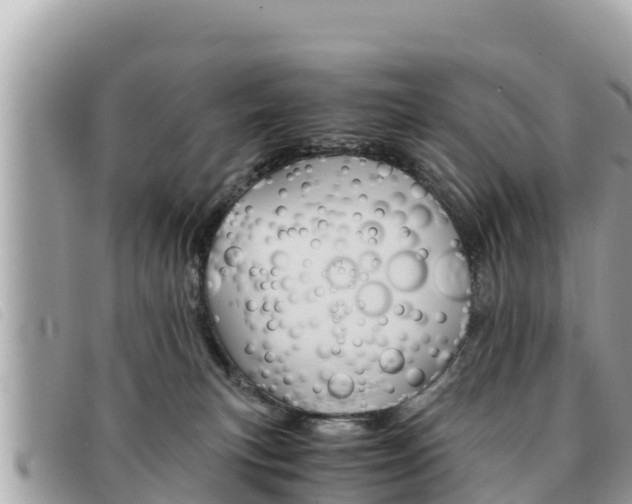 X0000091540183200708171017