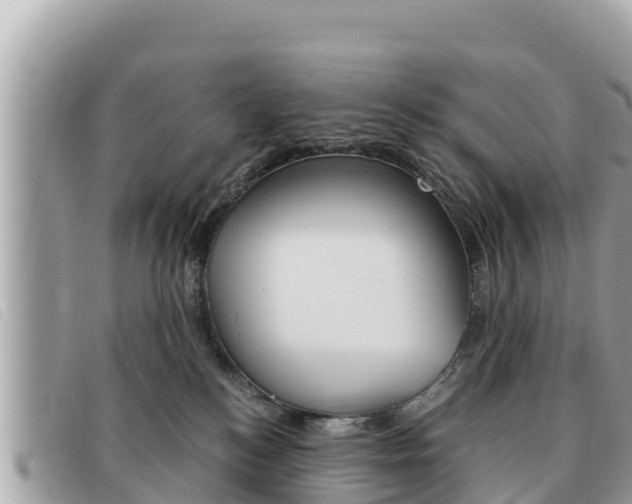 X0000091540184200708171017