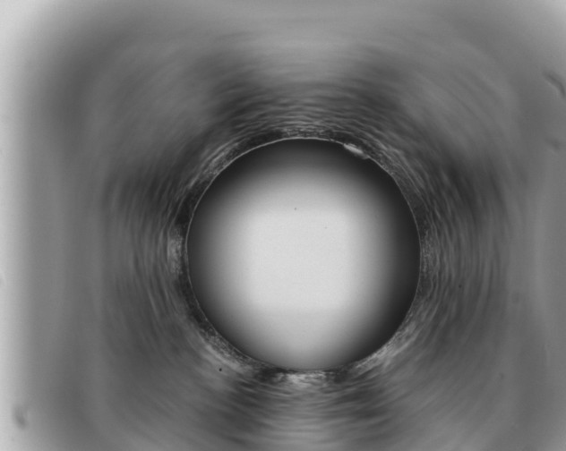 X0000091540188200708171018