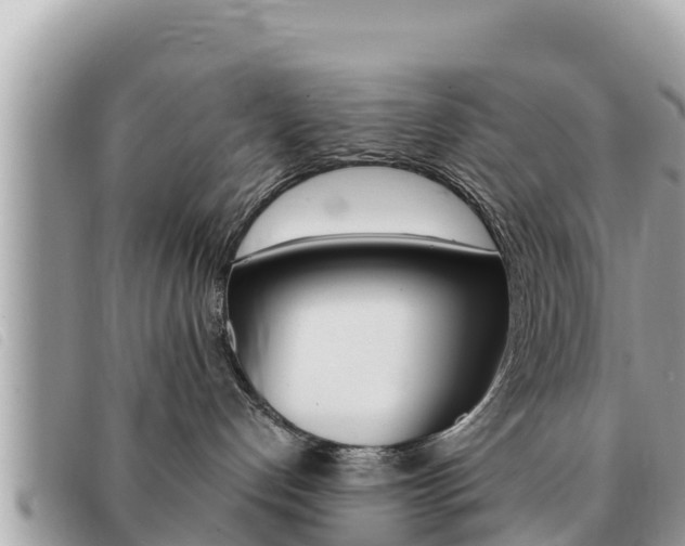 X0000091540192200708171018