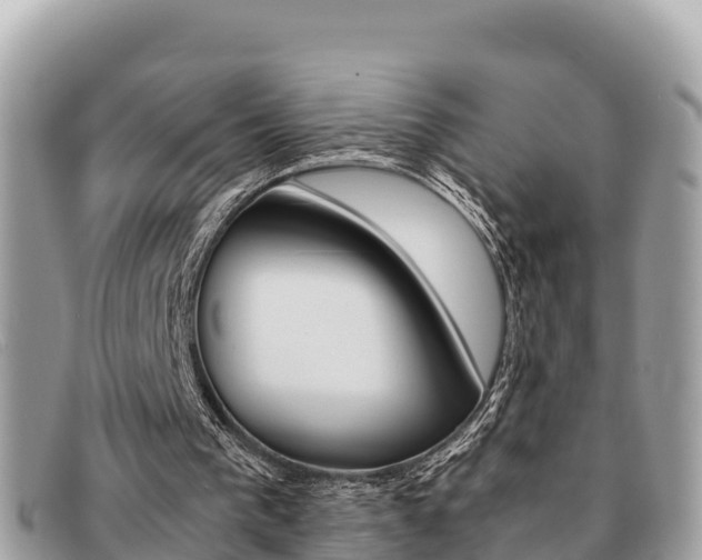 X0000091540193200708171017