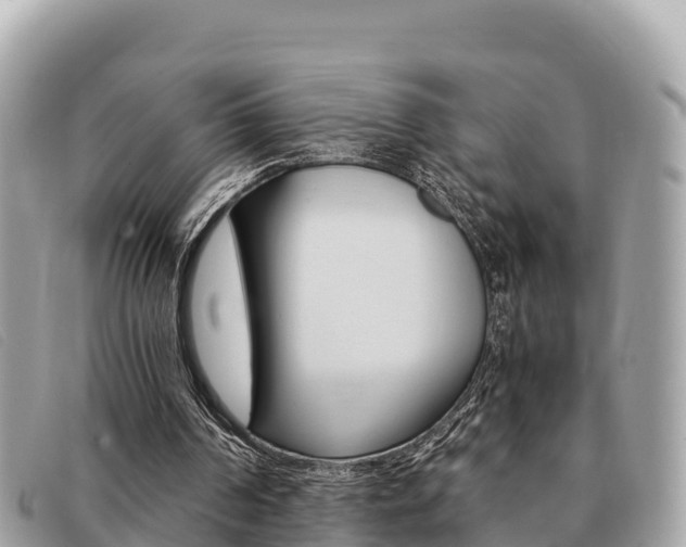 X0000091540194200708171017