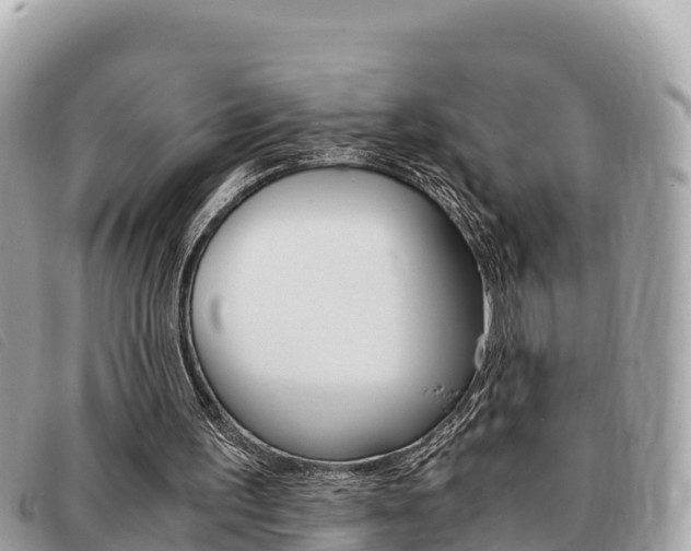 X0000091540195200708171017