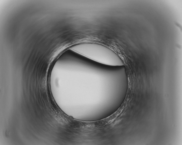 X0000091540196200708171017