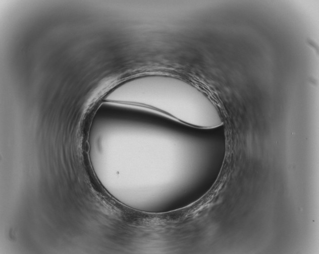 X0000091540197200708171017