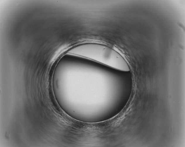 X0000091540199200708171017