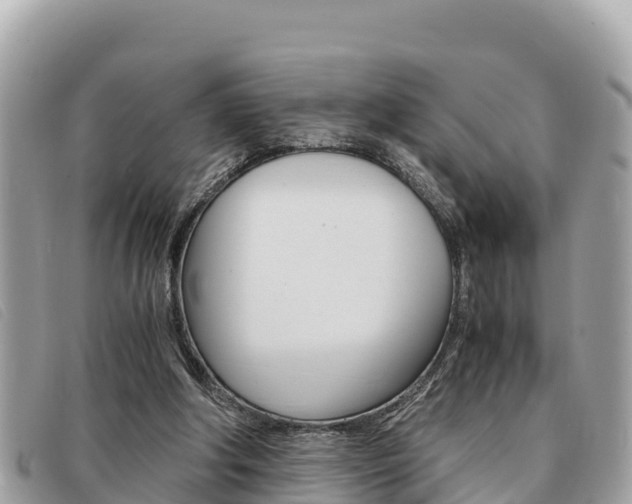 X0000091540202200708171016