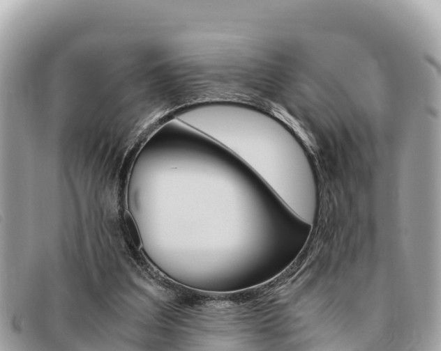 X0000091540203200708171016