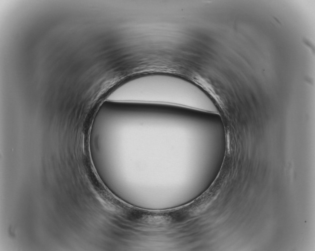 X0000091540205200708171016