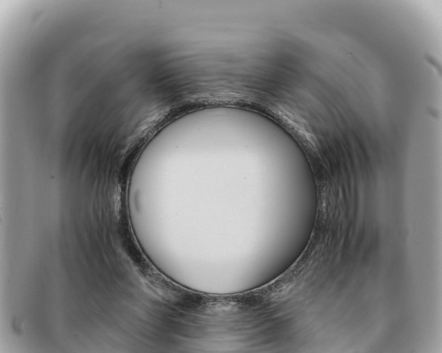 X0000091540206200708171016