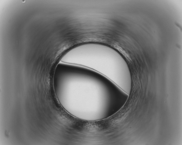 X0000091540207200708171016