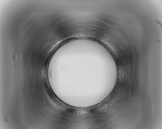 X0000091540208200708171016