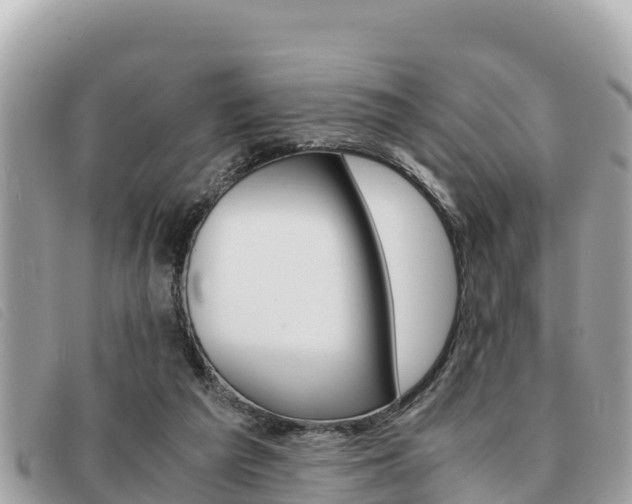 X0000091540209200708171016