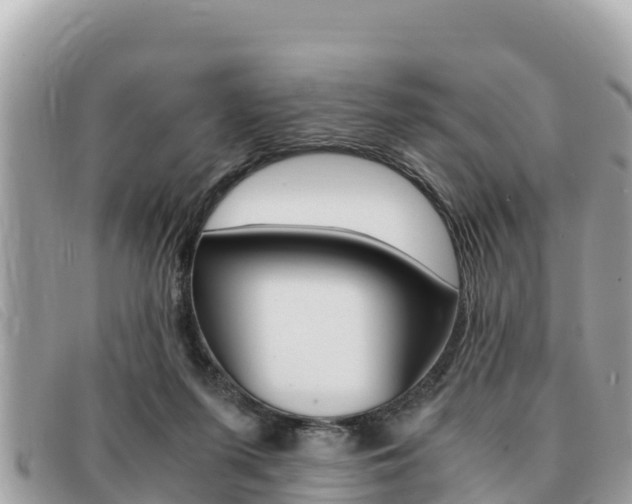 X0000091540215200708171016