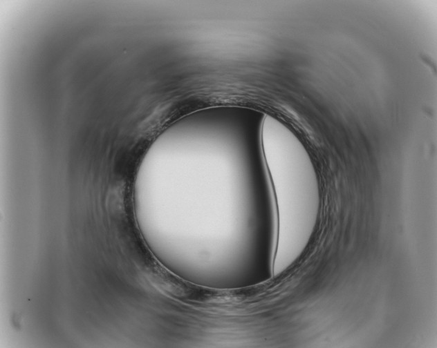 X0000091540217200708171016