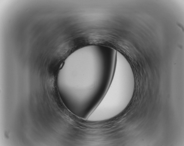 X0000091540219200708171016