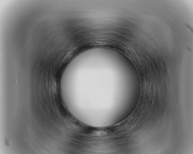 X0000091540220200708171016