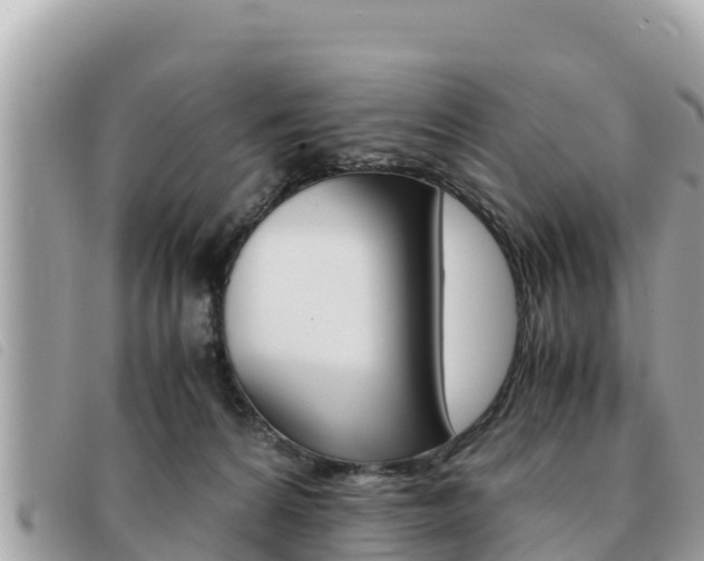 X0000091540224200708171016