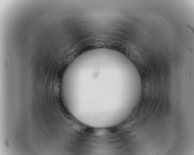 X0000091540226200708171016