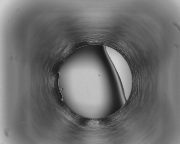 X0000091540227200708171016