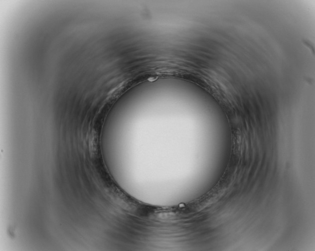 X0000091540228200708171016