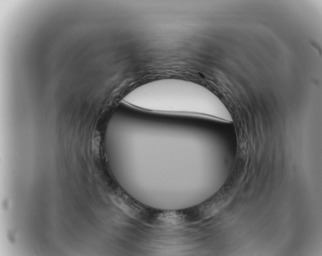 X0000091540231200708171016