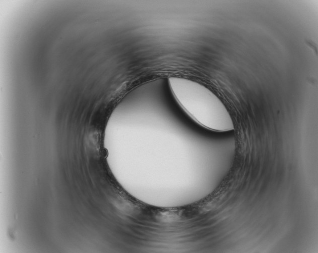 X0000091540232200708171016
