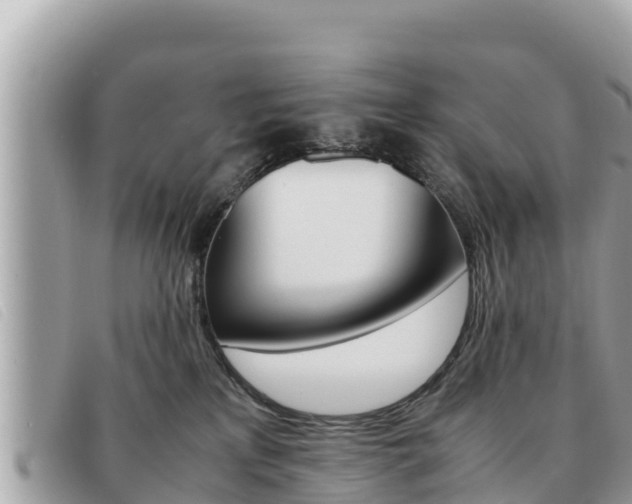 X0000091540233200708171016