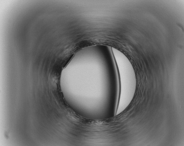 X0000091540235200708171016
