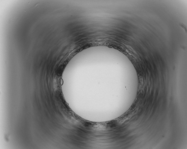 X0000091540236200708171016
