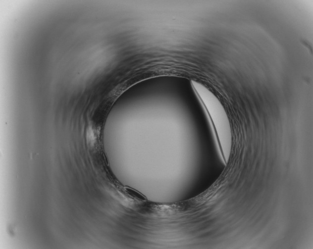 X0000091540239200708171016