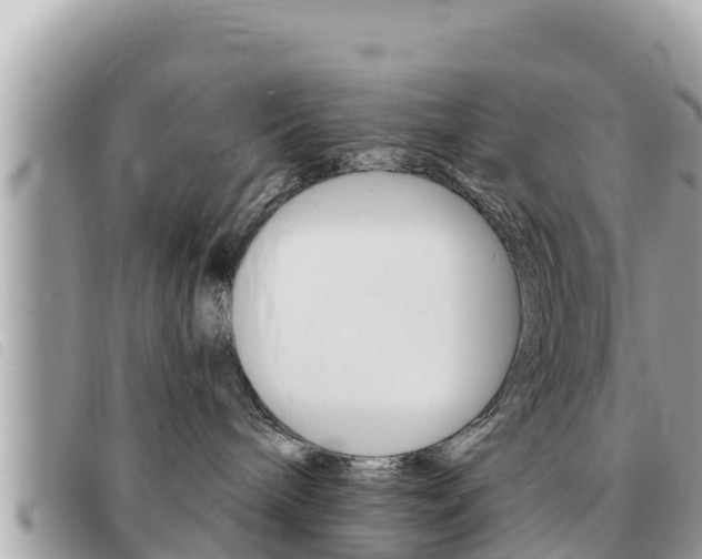 X0000091540240200708171016