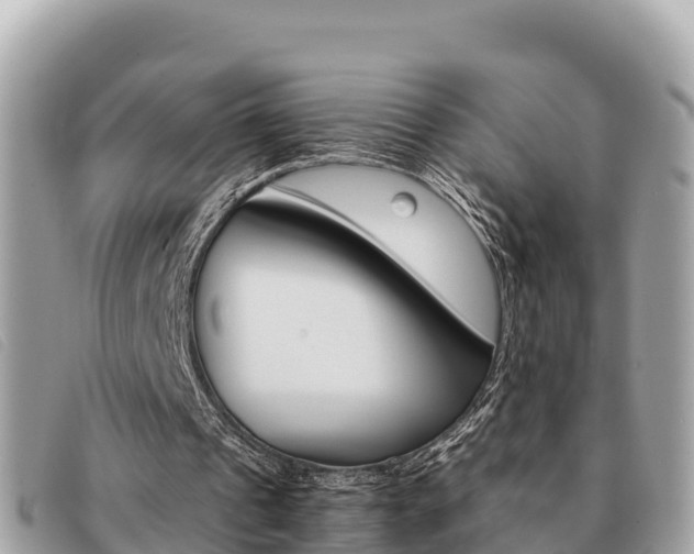 X0000091540241200708171015