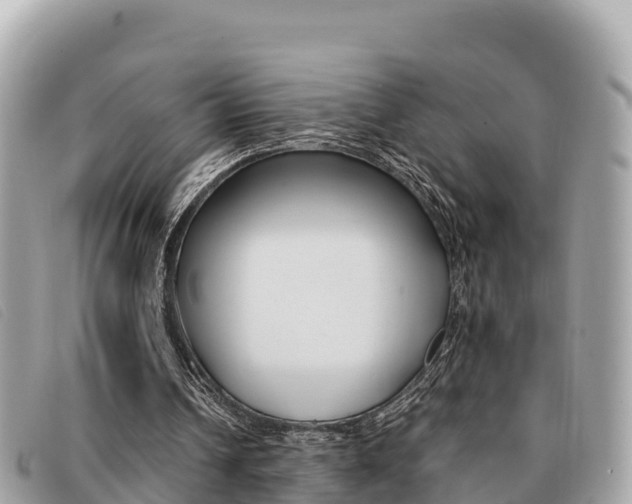 X0000091540242200708171015