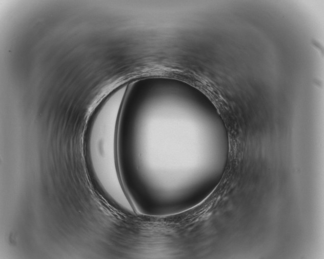 X0000091540244200708171015
