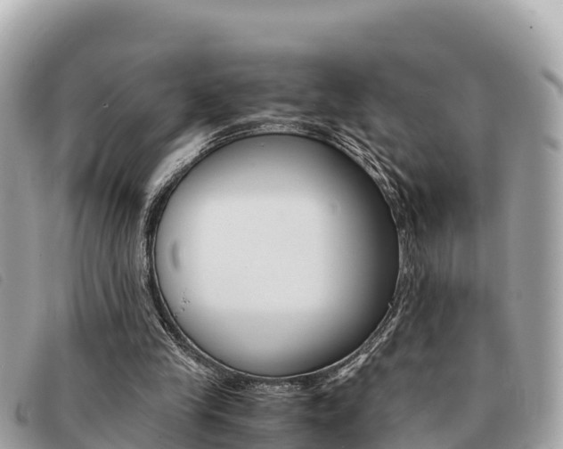 X0000091540245200708171015